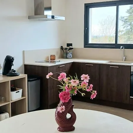 St Francois Heated Swimming Pool ,air Conditioning ,free Parking * Carcassonne