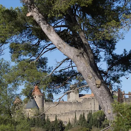 Holiday home St Francois Heated Swimming Pool ,air Conditioning ,free Parking Carcassonne