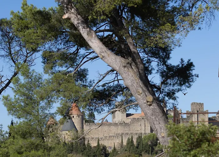 Holiday home St Francois Heated Swimming Pool ,air Conditioning ,free Parking Carcassonne